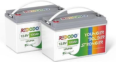 12V 12Ah LiFePO4 Battery, RoyPow 12V 12Ah LiFePO4 Lithium Battery with  low-temperature cut-off, 3500~8000 Cycles 12V LiFePO4 Battery for Kid  Scooters
