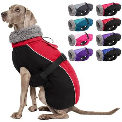  Due Felice Dog Coat Fleece Dog Jacket Dog Winter Coat for  Small Medium Large Dogs Waterproof Snow Jacket with Harness Hole Reflective  Turtleneck Two-Legged Cold Weather Vest Blue/XL : Pet