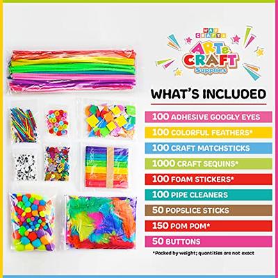 Arts and Crafts Supplies Set, Over 1000 pcs; Craft Box for Kids