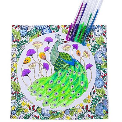 Pack Gel pens Set 120 Colored Gel Pen with 120 Refills Fine Tip Glitter Gel  pens with Canvas Bag Kids Adults Coloring Books