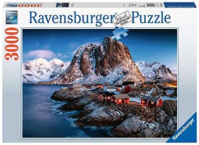 Ravensburger Disney Museum 9000 Piece Jigsaw Puzzle for Adults - 14973 -  Handcrafted Tooling, Durable Blueboard, Every Piece Fits Together  Perfectly