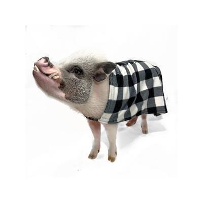 baby pig in clothes