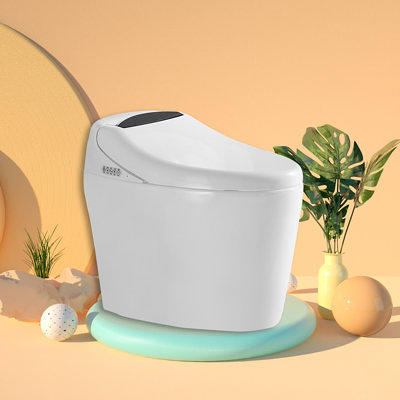 Smart Toilet with Automatic Flush and Heated Toilet Seat, One