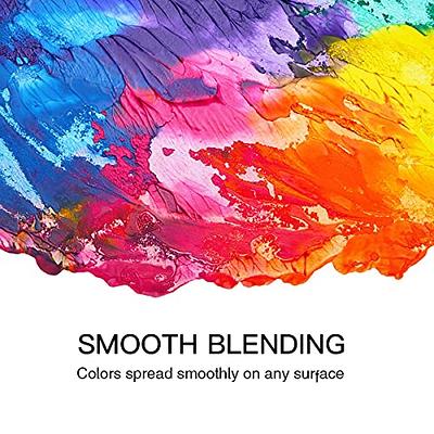 GOTIDEAL Stretched Canvas with 24 Colors Acrylic Paint, Multi Pack