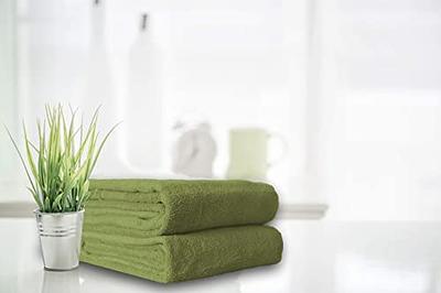 4 Piece Bath Towel Set, 100% Cotton, High Absorbent Quick Dry Bath Towels, Machine Washable, 27x54 MoNiBloom Color: Gray