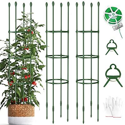 Ecostake 4 ft. Natural Bamboo Eco-Friendly Garden Plant Stakes for Climbing Support for Tomatoes, Trees, Beans, (40-Pack)