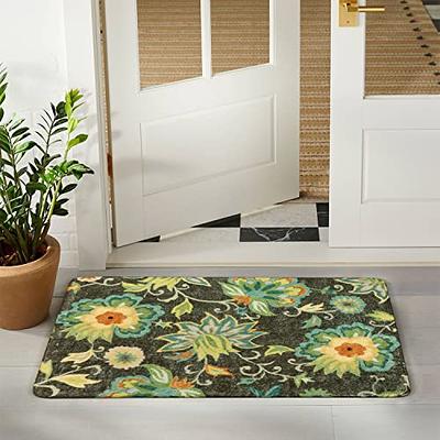  Lahome Indoor Door Mats for Entryway - 2x3 Small