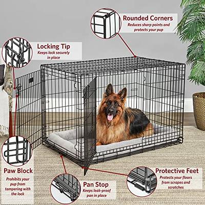 MidWest Homes for Pets Large Dog Crate | MidWest Life Stages Folding Metal  Dog Crate | Divider Panel, Floor Protecting Feet, Leak-Proof Dog Pan | 42L