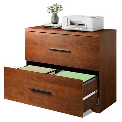 2-Drawer Lateral File Cabinet with Lock, Large Wood Filing Cabinet