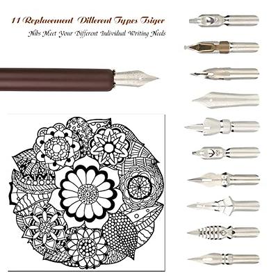 hhhouu Calligraphy Set for Beginners Quill Pen and Ink Set Fancy Pens with  Black Ink and 11 Nibs for Lettering,Drawing, Journaling, Signing,  Invitation HO-Q-301 - Yahoo Shopping