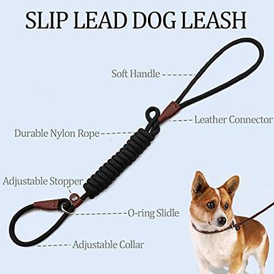 Brilliant Paw Slip Lead Dog Leash 6FT, Strong Braided Training Dog Lead,  Comfortable Padded Handle and Highly Reflective Threads, Durable Walking  Slip