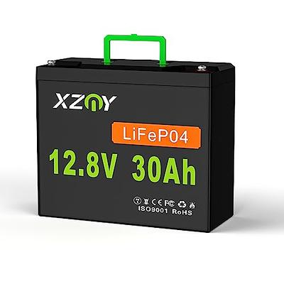 UPLUS LP12-9 12 Volt 9Ah Rechargeable AGM Battery, DJW12-9.0S SLA Battery  Replacement Batteries for UPS System, Electric Scooter, Home Alarm System