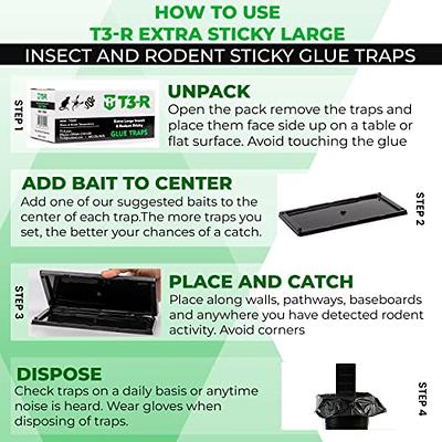 Qualirey 1 Sticky Mouse Trap Mouse glue Traps Sticky Rat Trap That Work for  Trapping Snakes Rats Spiders Roaches Rodents 47 Inch La
