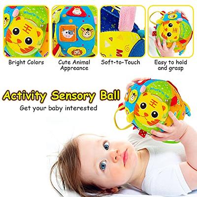 Montessori Toys - Sensory Balls for Baby Sensory Toys 1-3 Textured Hand  Catching Balls, Baby Rattle 3-6 9 Months Old Baby Toys for Babies And  Toddlers