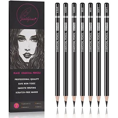 PANDAFLY Professional Charcoal Pencils Drawing Set - 8 Pieces Super Soft,  Soft, Medium and Hard Charcoal Pencils for Drawing, Sketching, Shading,  Artist Pencils for Beginners & Artists 