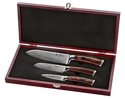  Ruksifg Damascus Tiny Knife Set Mini Knife Set for