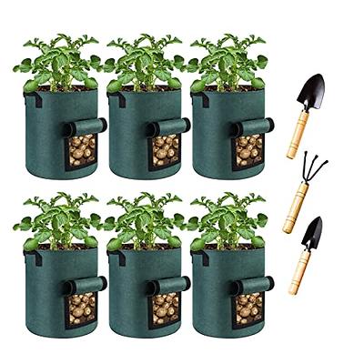 Potato Vegetable Grow Fabric Planter Bags – Simply Novelty