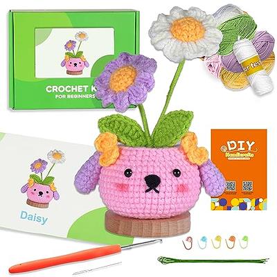 Modda Crochet Kit for Beginners with Video Course, Includes 20 color of  Yarns, Hooks, Accessories Kit, Canvas Tote Bag, Crochet Starter Kit for  Women