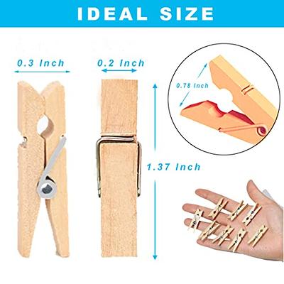 Mini Clothespins for Photo,40 Pack Wooden Small Clothes Pin with Twine  String, Tiny Decorative Clips for Pictures Crafts Display