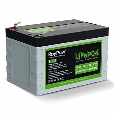 Nermak 2 Pack 12V 12Ah LiFePO4 Deep Cycle Battery, 2000+ Cycles Lithium  Iron Phosphate Rechargeable Battery for Solar Power,UPS,Lighting, Power