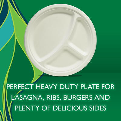 Hefty Compostable Printed Paper Plates, 10 Inch, 20 Count