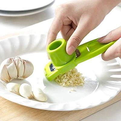 Garlic Press Ginger Crusher Cooking Tool Garlic Masher Kitchen Gadgets NEW