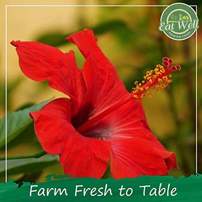 Premium Hibiscus Flowers - 100% Natural - 5 Pounds - Hibiscus Flowers