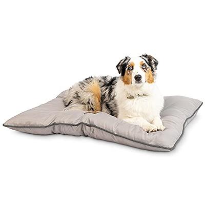 Should you put a bed in your dog's crate? - Snoozer Pet Products