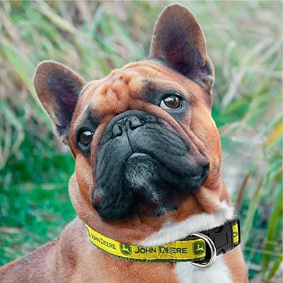 Pittsburgh Steelers Premium Pink Dog Collar