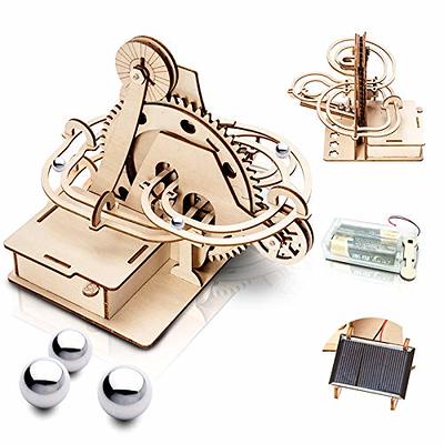 Vyperion 3D Wooden Puzzle Pet Schnauzer Animal Box, DIY Plywood Craft  Model Kit for Adults, Teens & Children