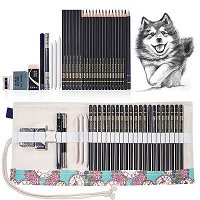 Corslet 31 PC Drawing Pencils for Artists Kit 1 Hb Pencil Kit with A5  Sketch Book Sketching Kit Charcoal Pencil Art Supplies for Artist Blending  Stump - Price History