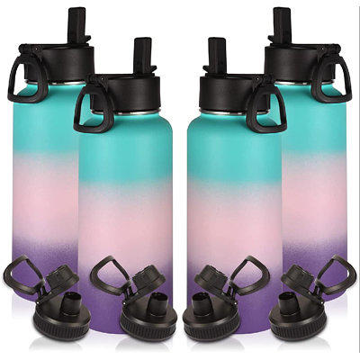 FineDine Insulated Water Bottles with Straw - 64 Oz Stainless