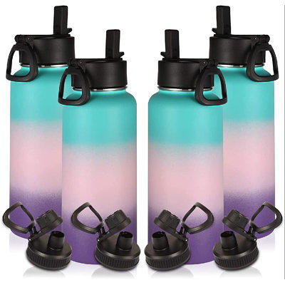 18 oz. Double-Wall Stainless Steel Water Bottle