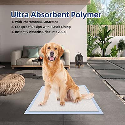  Drymate Dog Crate Mat Liner, Absorbs Urine, Waterproof,  Non-Slip, Washable Puppy Pee Pad for Kennel Training - Use Under Pet Cage  to Protect Floors, Thin Cut to Fit Design (USA