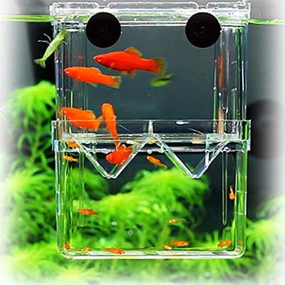 Fish Egg Incubator Tumbler Aquarium Cichlids Fish Hatchery with Aquarium Air Pump,Isolation Fish Breeding Box, Small Fish Net and Small Aquarium