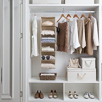 6-Shelf Hanging Closet Organizer