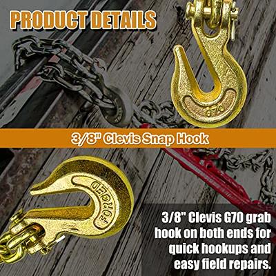 FITHOIST G80 Transport Binder Chain 5/16 Inch x 10 Foot, Tow Chain with Clevis  Grab Hooks, 4,900 lbs Safe Working Load