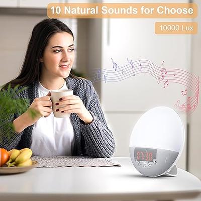 Sunrise Alarm Clock Wake Up Light - Light Alarm with Sunrise/Sunset  Simulation Dual Alarms and Snooze Function, 7 Colour Atmosphere Lamp, 7  Natural