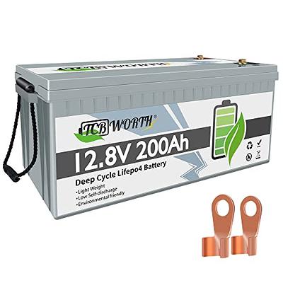  LiTime 12V 100Ah LiFePO4 Battery BCI Group 31 Lithium Battery  Built-in 100A BMS, Up to 15000 Deep Cycles, Perfect for RV, Marine, Home  Energy Storage : Automotive