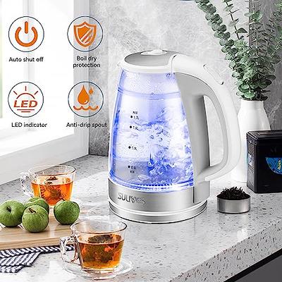 Electric Kettles Stainless Steel for Boiling Water, Double Wall Hot Water  Boiler Heater, Cool Touch Electric Teapot, Auto Shut-Off & Boil-Dry