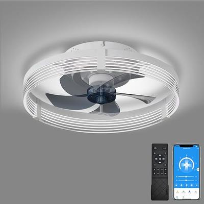 WWahuayuan 31.1 Inch Modern Ceiling Fan with Lights Remote Control