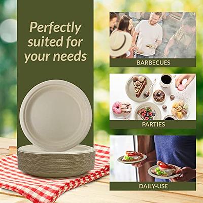  Vplus 100% Compostable Small Paper Plates, 300 Pack 6