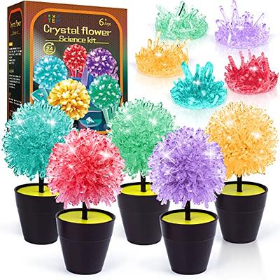 Crystal Growing Kit, STEM Projects Science Kits for Kids Age 8-12, Girls  Toys 8-10 Years Old, Crafts Gift Toys for 6 7 8 9 10 11 12 Years Old Girls  & Boys - Yahoo Shopping