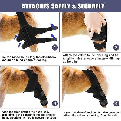 Dog Leg Braces for Back Leg - Dog Knee Brace For Support With