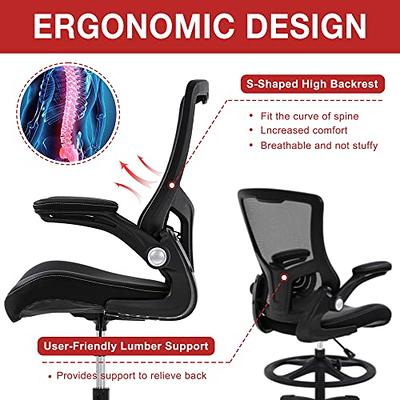 FDW Home Office Chair Ergonomic Desk with Lumbar Support Armrests Mid-Back  Mesh Computer Executive Adjustable Rolling Swivel Task (Black)