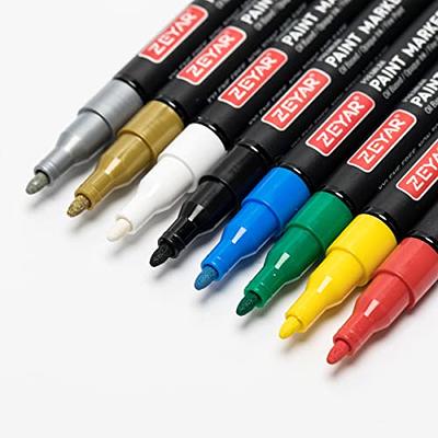 ZEYAR Dual Tip Paint Pens, Medium and Extra Fine, Water Based Acrylic &  Waterproof Ink, Assorted Colors, Works on Rock, Wood, Glass, Metal, Ceramic