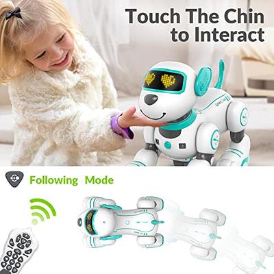 STEMTRON Programmable Interactive & Smart Dancing Remote Control Robot Dog Toy(Pink)