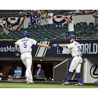 Ben Zobrist Chicago Cubs 2016 MLB World Series MVP Gold Glove Display Case  with Image - Baseball Logo Display Cases