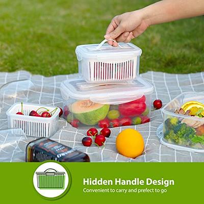 Refrigerator Storage Box Fridge Organizer Fresh Vegetable Fruit