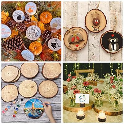 Unfinished Natural Wood Slices 3-20cm Thick Craft Wood kit Circles Crafts  Christmas Ornaments DIY Crafts With Bark For Crafts